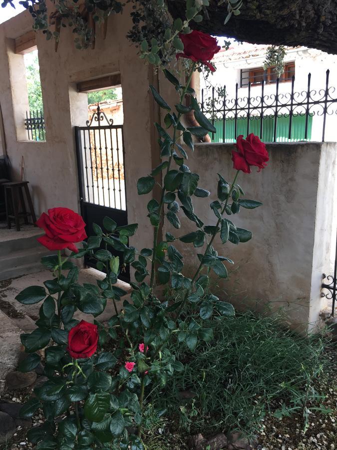La Casa Del Cartero Pablo Guest House Saldana de Ayllon Екстериор снимка